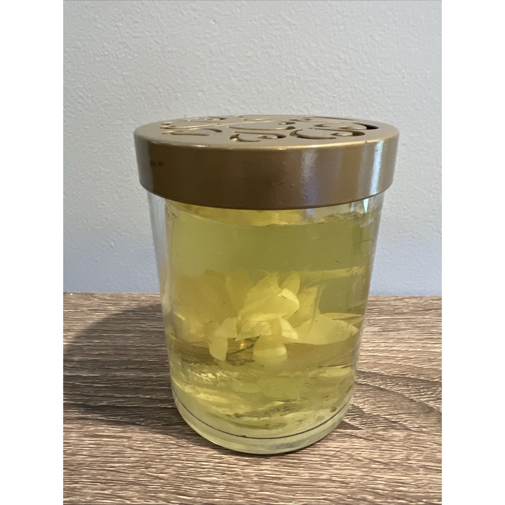 Victoria's Secret Longlasting Home Fragrance Gelee Garden Whispering Mist
